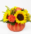 The FTD� Harvest Traditions� Pumpkin
