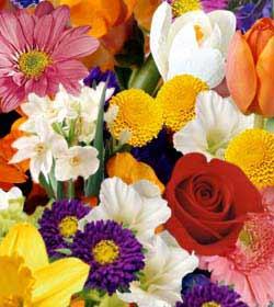 The FTD� Florist Designed� Bouquet