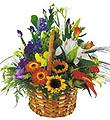 Basket Arrangement