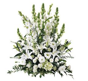The FTD� Morning Stars � Arrangement