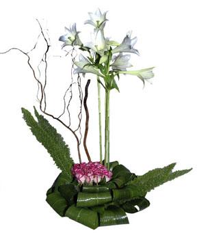 Arrangement of Cut Flowers
