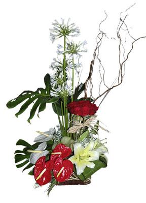 Arrangement of Cut Flowers